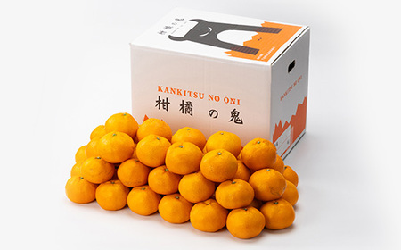 愛媛県八幡浜市産大玉みかん11kg【C56-59】【配送不可地域：離島】【1572269】