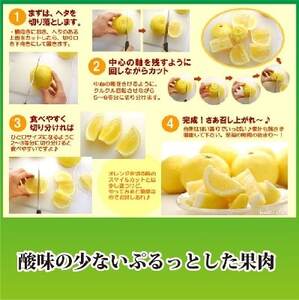 2026年2月発送開始　ジューシーな甘さ!「はるか」約5キロ　【C39-7】【配送不可地域：離島】【1280653】