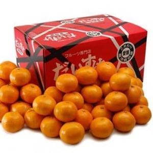 愛媛県八幡浜産愛媛みかん5kg(早生)【C35-7】【配送不可地域:離島・北海道・沖縄県】【1492247】