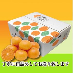 2026年2月発送開始　みずみずしい香り・柑橘の大トロ!「姫せとか」約3.5kg【D39-60】【配送不可地域：離島】【1583778】