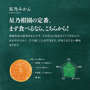 【三つ星ブランド】星乃みかん(4.5kg)【B45-90】【1582444】