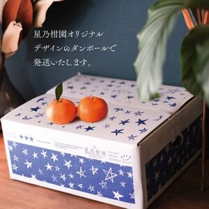 【三つ星ブランド】星乃みかん(4.5kg)【B45-90】【1582444】