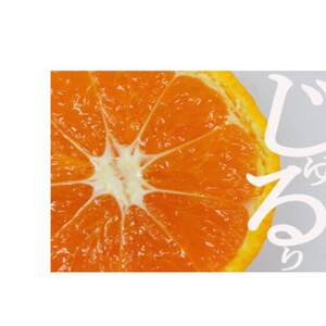 家庭用 愛媛果試48号(紅プリンセスと同品種)【E56-60】【配送不可地域:離島】【1591766】