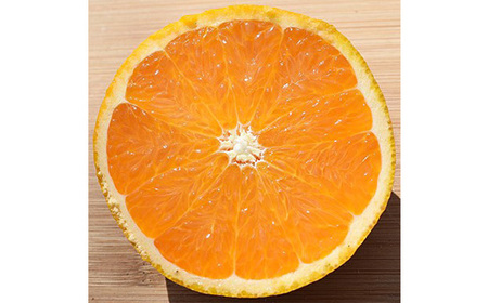 あふれる果汁と濃厚な甘み!「清見」5kg入【C28-21】【1119941】