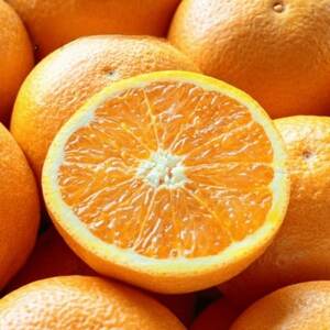 【まるで食べるジュース!越冬完熟品】愛媛産 訳あり 清見オレンジ 5kg【C20-33】【1594859】