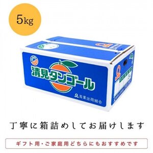 【まるで食べるジュース!越冬完熟品】愛媛産 訳あり 清見オレンジ 5kg【C20-33】【1594859】