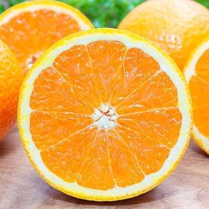 【まるで食べるジュース!越冬完熟品】愛媛産 清見オレンジ 5kg【D20-38】【1594848】