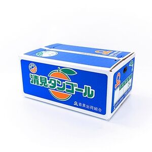 【まるで食べるジュース!越冬完熟品】愛媛産 清見オレンジ 5kg【D20-38】【1594848】