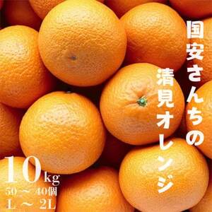 【まるで食べるジュース!越冬完熟品】愛媛産 清見オレンジ 10kg【G20-41】【1594852】