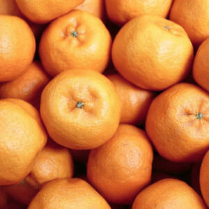 【南国を感じさせる独特の香り】愛媛ポンカン 5kg【D20-53】【1595883】