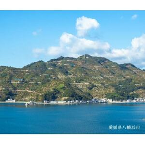 【南国を感じさせる独特の香り】愛媛ポンカン 5kg【D20-53】【1595883】