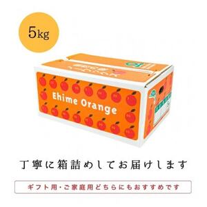 【南国を感じさせる独特の香り】愛媛ポンカン 5kg【D20-53】【1595883】