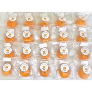 【真穴産】冷凍みかん　えひめのアイスみかん　20袋詰め【D82-2】【配送不可地域：離島】【1596742】