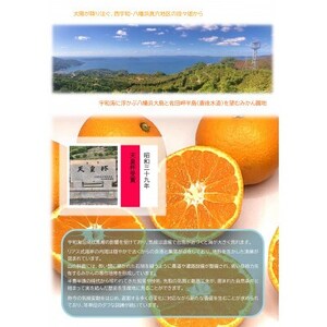 【真穴産】冷凍みかん　えひめのアイスみかん　20袋詰め【D82-2】【配送不可地域：離島】【1596742】