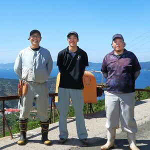 何個でも食べられる!西宇和地区八幡浜産 愛媛みかん3kg【C25-175】【1604463】