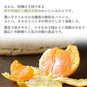 何個でも食べられる!西宇和地区八幡浜産 愛媛みかん5kg【訳あり】【C25-176】【1606088】