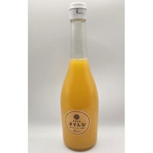 高級柑橘3種ジュース各2本 計6本セット【G56-61】【1606167】