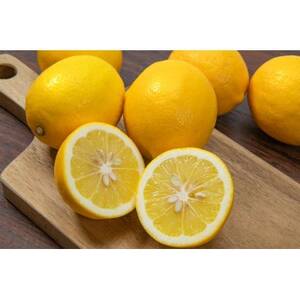 愛媛八幡浜産レモンストレート果汁720ml【A56-63】【1607172】