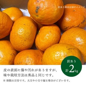 【2026年2月より順次発送】愛媛限定栽培柑橘 甘平(かんぺい)2kg【訳あり】【D25-184】【1608049】
