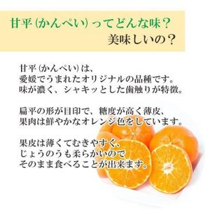 【2026年2月より順次発送】愛媛限定栽培柑橘 甘平(かんぺい)2kg【訳あり】【D25-184】【1608049】