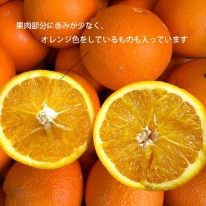 【2026年発送】愛媛県八幡浜市産 ブラッドオレンジ(タロッコ)3kg【C25-189】【1610009】