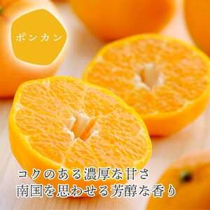 愛媛の新春柑橘を食べ比べ! ポンカン・いよかんセット便【訳あり】【C25-194】【複数個口で配送】【4066395】