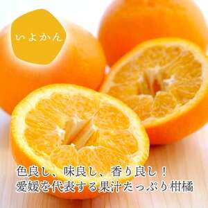 愛媛の新春柑橘を食べ比べ! ポンカン・いよかんセット便【訳あり】【C25-194】【複数個口で配送】【4066395】