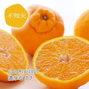 愛媛の人気2品種をセットに!せとか・不知火 食べ比べ【訳あり】【D25-195】【複数個口で配送】【4066396】