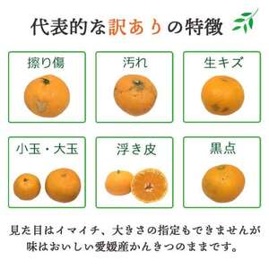 愛媛の人気柑橘をセットに!せとか・甘平 食べ比べセット【訳あり】【F25-196】【複数個口で配送】【4066397】