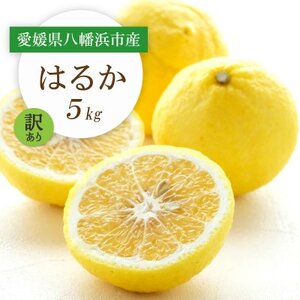 【2026年2月以降発送】すっきり甘い!愛媛県八幡浜市産はるか 5kg【訳あり】【C25-205】【1612466】