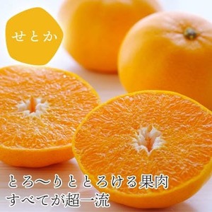 【発送月固定定期便】愛媛の人気2品種を堪能!せとか・甘平 食べ比べ【訳あり】【F25-201】全2回【4066441】