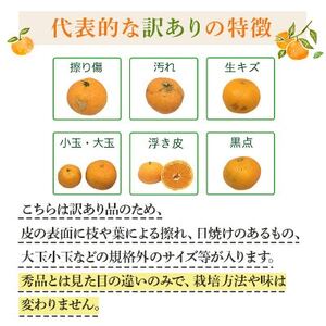 【発送月固定定期便】愛媛の人気2品種を堪能!せとか・甘平 食べ比べ【訳あり】【F25-201】全2回【4066441】