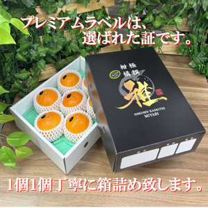 極撰柑橘【雅プレミアム】糖度保証・光センサー合格品「 せとか 」約2キロ【D39-62】【配送不可地域：離島】【1614238】