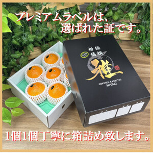 極撰柑橘【雅プレミアム】糖度保証・光センサー 合格品「 マドンナ 」約2キロ【D39-61】【配送不可地域:離島】【1614244】