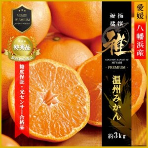極撰柑橘【雅プレミアム】糖度保証・光センサー合格品「八幡浜温州みかん」約3キロ【C39-63】【配送不可地域:離島】【1614679】
