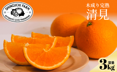 【太陽の恵みをギュッと凝縮】清見 3kg 愛媛県産【C70-71】【1615835】