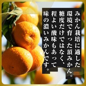 三代目の頂みかんTHEプレミアム【小玉サイズ】2kg【A31-51】【1615103】
