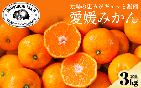 【太陽の旨みがギュッと凝縮】愛媛みかん3kg【小玉】農家直送 愛媛県川上産【C70-73】【1620185】