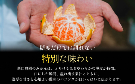【太陽の旨みがギュッと凝縮】愛媛みかん3kg【小玉】農家直送 愛媛県川上産【C70-73】【1620185】