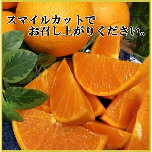 極撰柑橘【雅プレミアム】糖度保証・光センサー合格品「 せとか 」約3キロ【D39-69】【配送不可地域：離島】【1620365】