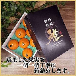 極撰柑橘 【雅】光センサー 合格品・プルプル食感「 マドンナ 」 約3キロ【E39-70】【配送不可地域:離島】【1620366】