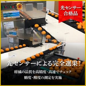 極撰柑橘 【雅】光センサー 合格品・プルプル食感「 マドンナ 」 約3キロ【E39-70】【配送不可地域:離島】【1620366】