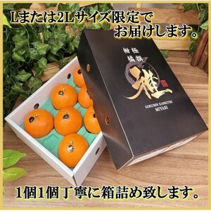 極撰柑橘【雅】光センサー合格品・柑橘の大トロ「 せとか 」約3キロ【D39-71】【配送不可地域：離島】【1620367】