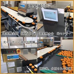 極撰柑橘【雅】光センサー合格品・柑橘の大トロ「 せとか 」約3キロ【D39-71】【配送不可地域：離島】【1620367】