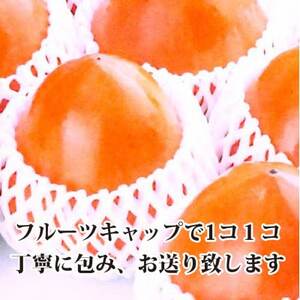 甘さにニッコリ!日本最大級の柿「富士柿」約3キロ【C39-72】【配送不可地域：離島】【1620371】
