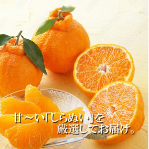 2026年2月~順次出荷 甘さと酸味の絶妙なバランス!はじける果肉「不知火」約2キロ【B39-75】【配送不可地域:離島】【1620481】
