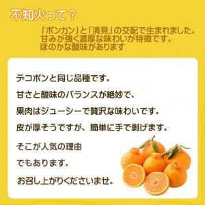 2026年2月~順次出荷 甘さと酸味の絶妙なバランス!はじける果肉「不知火」約2キロ【B39-75】【配送不可地域:離島】【1620481】