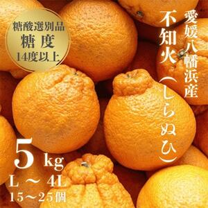 【糖度14.0以上酸1.4以下】糖酸選別品 愛媛産 不知火 (しらぬひ) 5kg【D20-61】【配送不可地域：離島】【1620228】