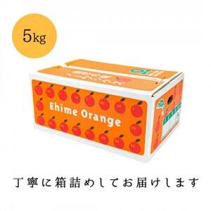【糖度14.0以上酸1.4以下】糖酸選別品 愛媛産 不知火 (しらぬひ) 5kg【D20-61】【配送不可地域：離島】【1620228】