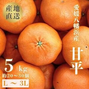 【愛媛が誇る 高級みかん 希少品種】甘平 (かんぺい) 5kg【H20-66】【1620336】